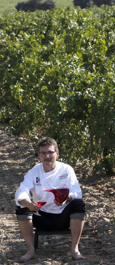 Pisada de uva en Abadía de Retuerta en Sardón de Duero (Valladolid)
