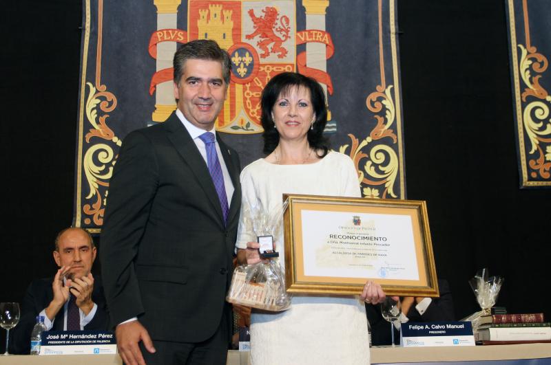 Día de la Provincia de Palencia