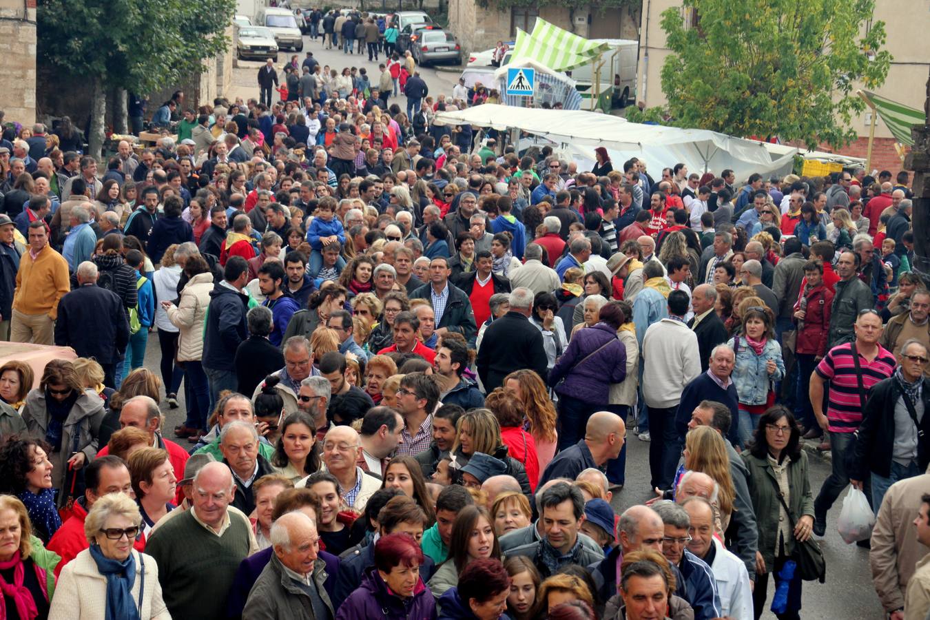 Feria de la cebolla en Palenzuela