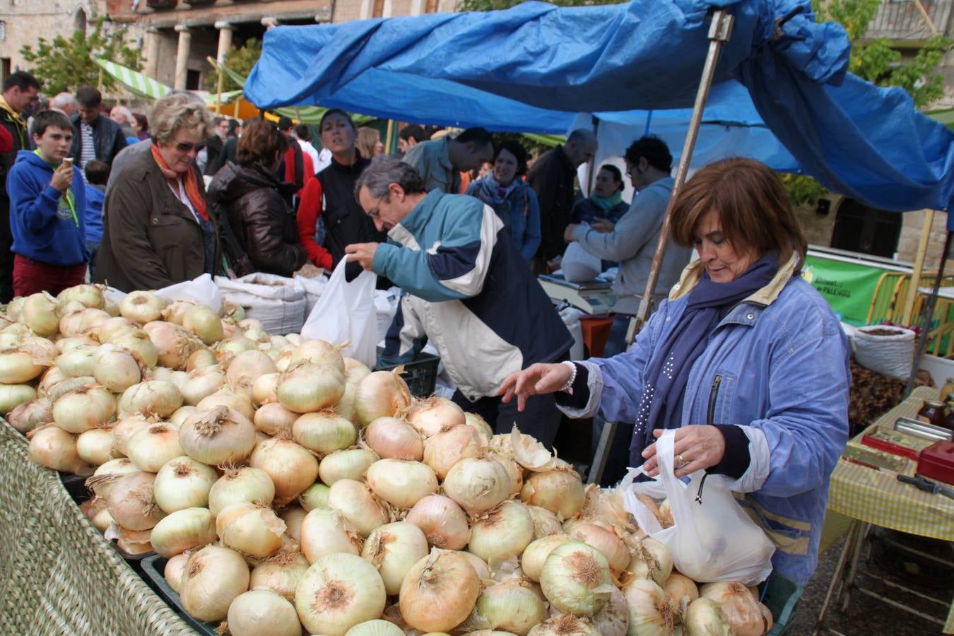 Feria de la cebolla en Palenzuela