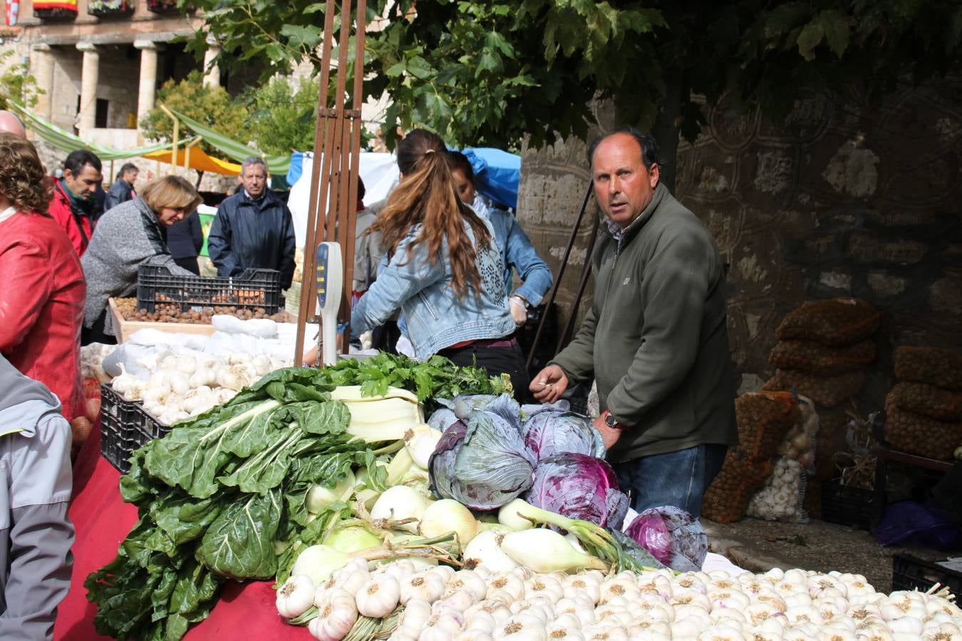 Feria de la cebolla en Palenzuela