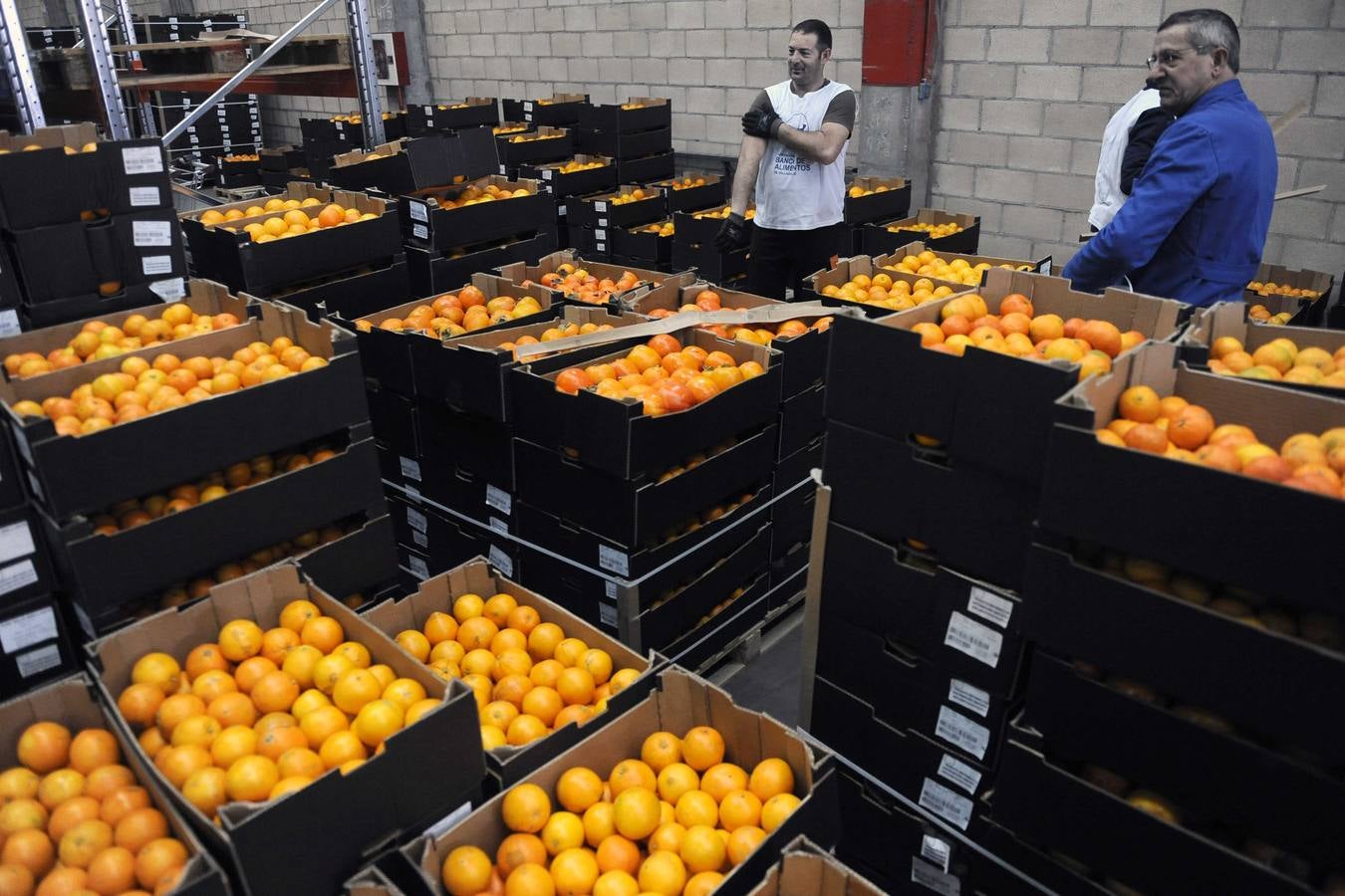 Banco de Alimentos de Valladolid en el Polígono de Argales