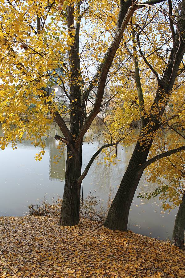 Otoño en Valladolid