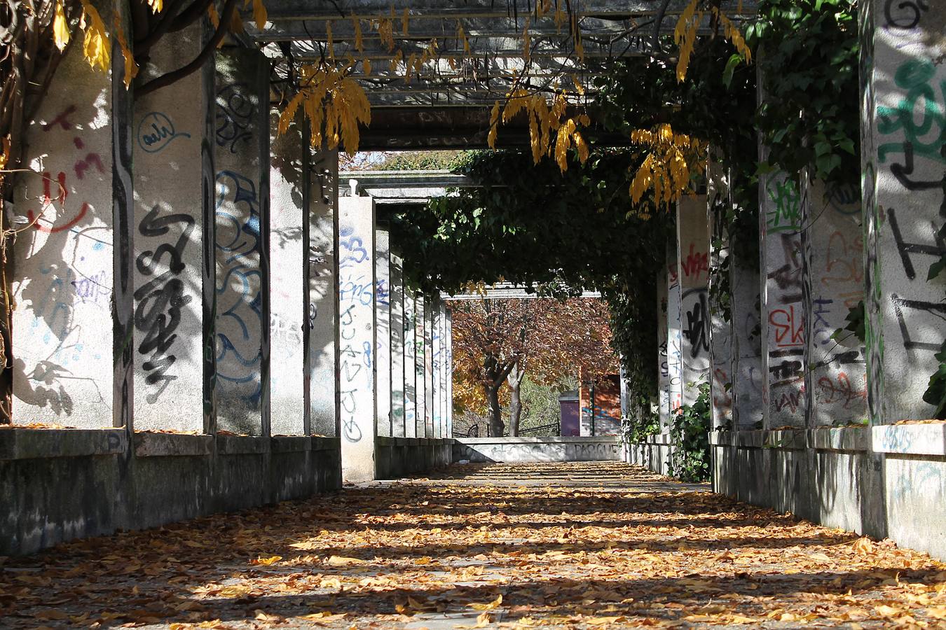 Otoño en Valladolid