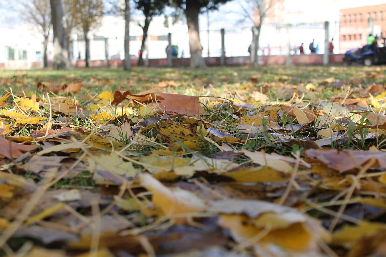 Otoño en Valladolid