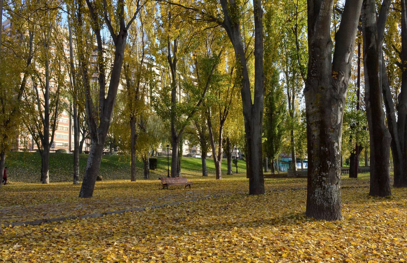 Otoño en Valladolid