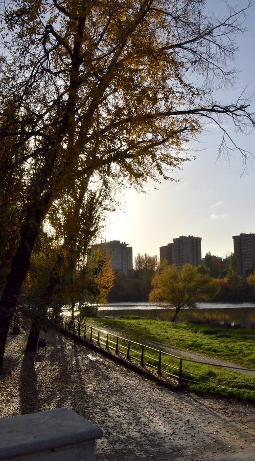 Otoño en Valladolid