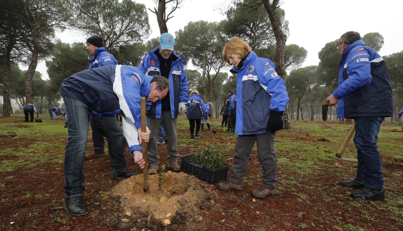 Socios de Turismoto plantan 140 árboles en la antigua sede de Pingüinos