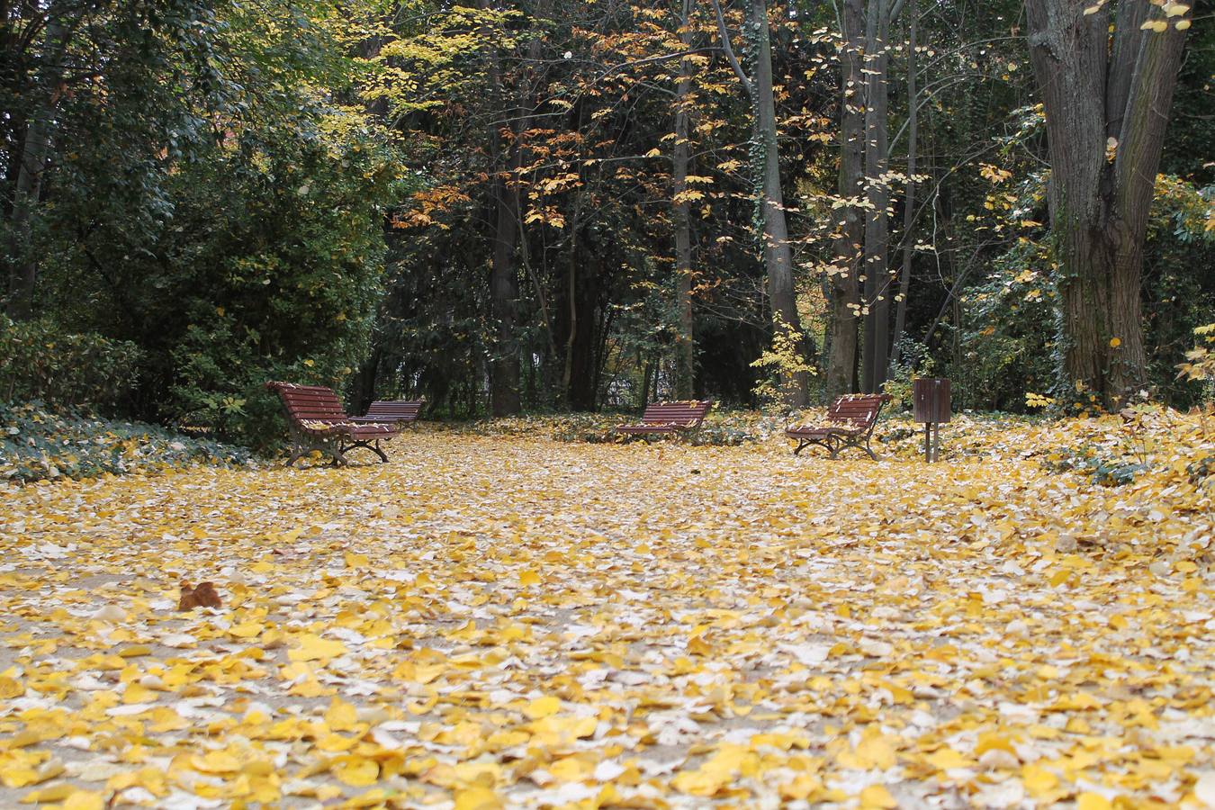 Otoño en el Campo Grande de Valladolid