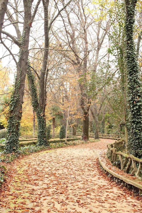 Otoño en el Campo Grande de Valladolid