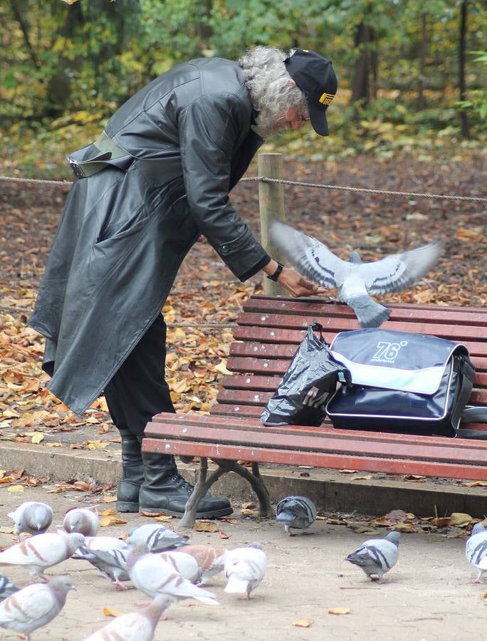 Otoño en el Campo Grande de Valladolid