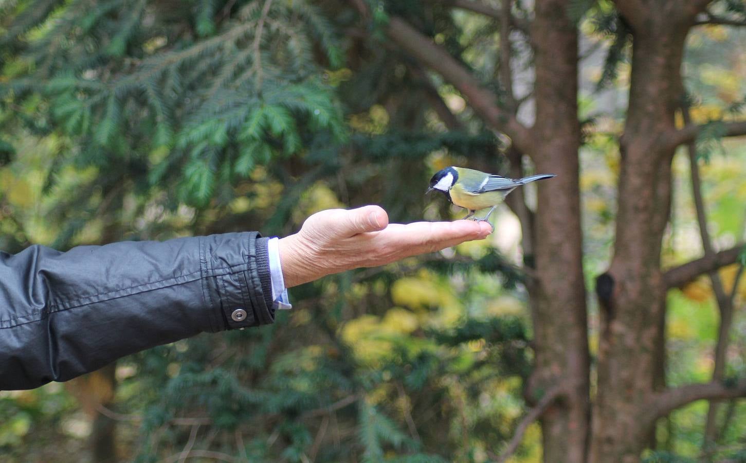 Otoño en el Campo Grande de Valladolid