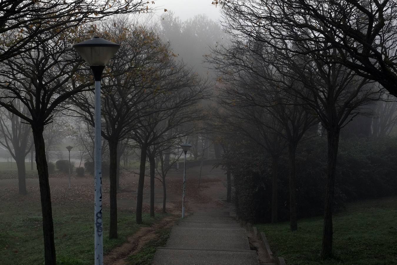 Niebla en Valladolid