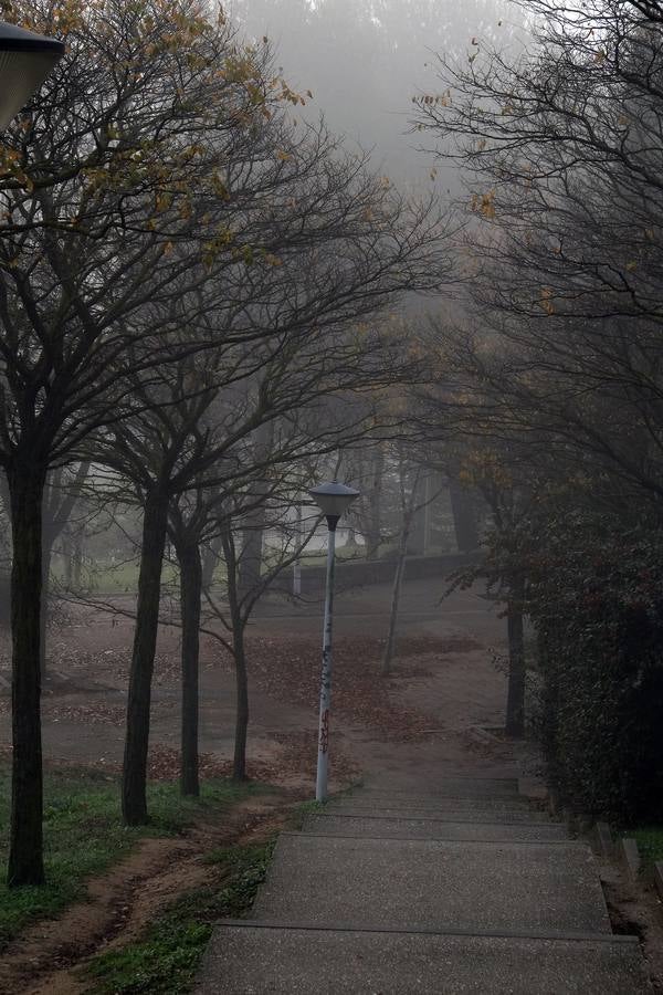 Niebla en Valladolid