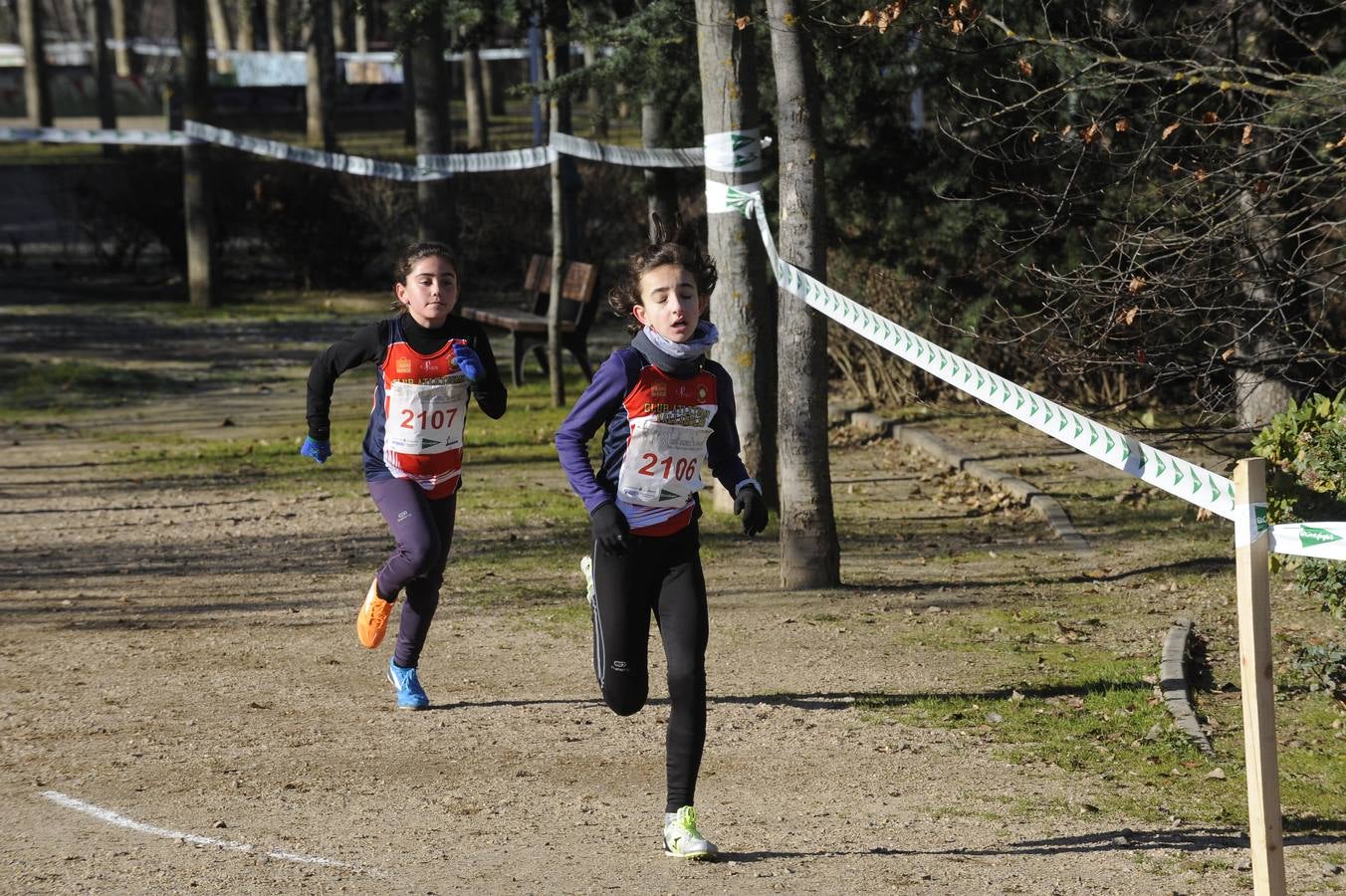 XXXI Cross de las Doce Uvas (7/8)