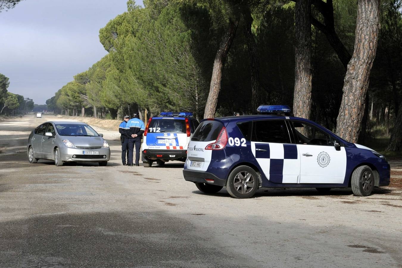 Vigilancia en el Pinar de Antequera ante la llegada de &#039;pingüinos&#039;