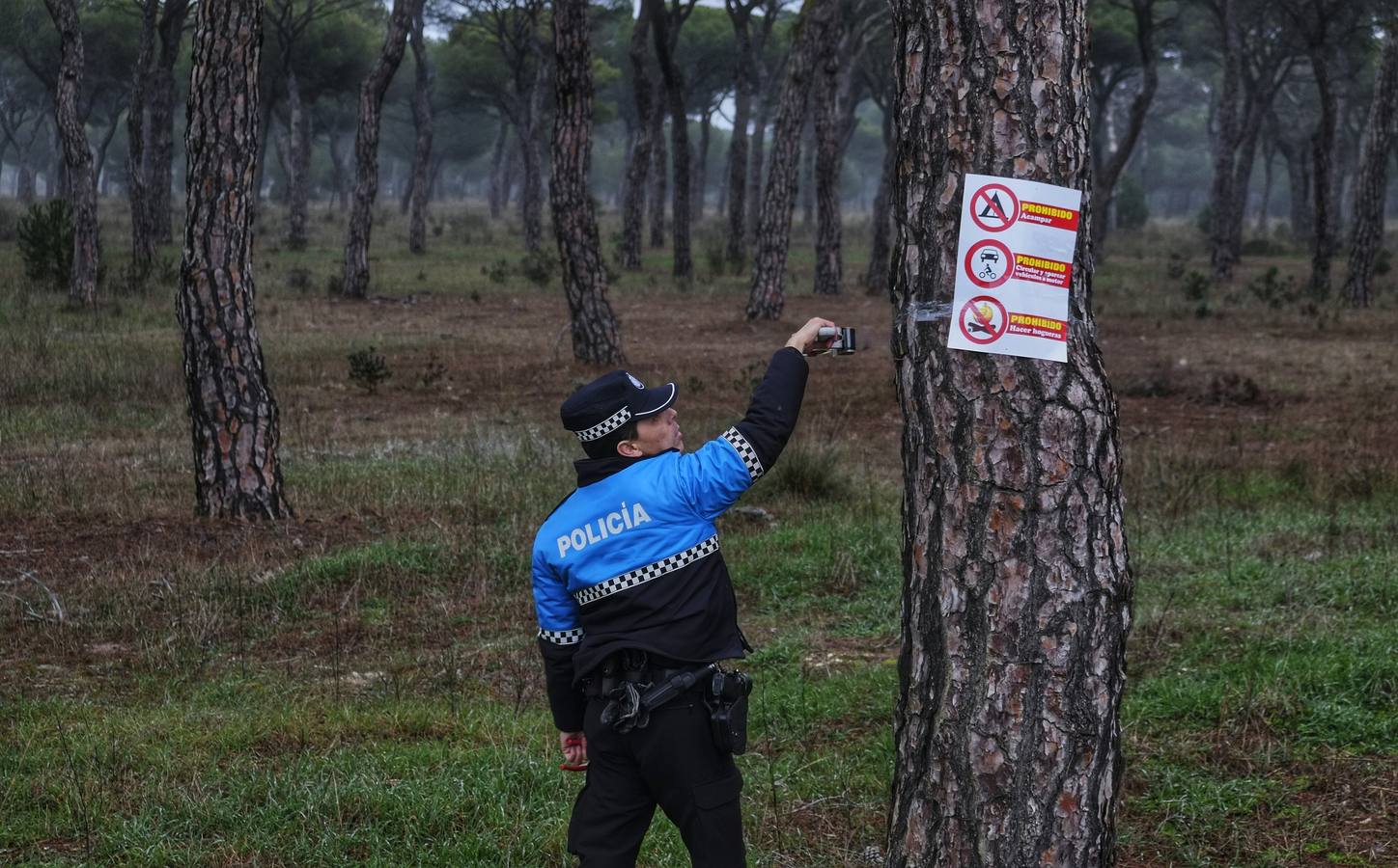 Vigilancia en el Pinar de Antequera ante la llegada de &#039;pingüinos&#039;