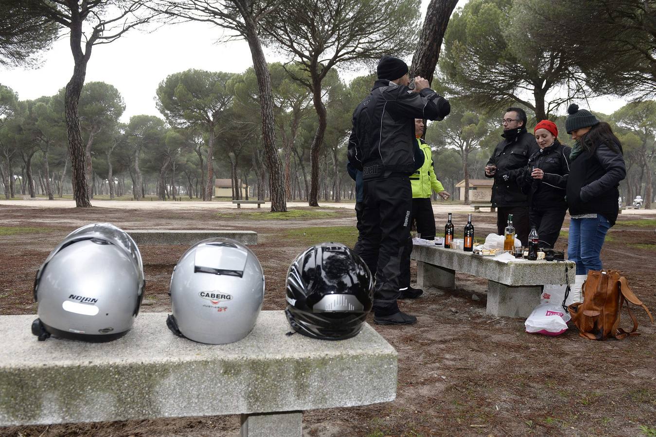 Vigilancia en el Pinar de Antequera ante la llegada de &#039;pingüinos&#039;