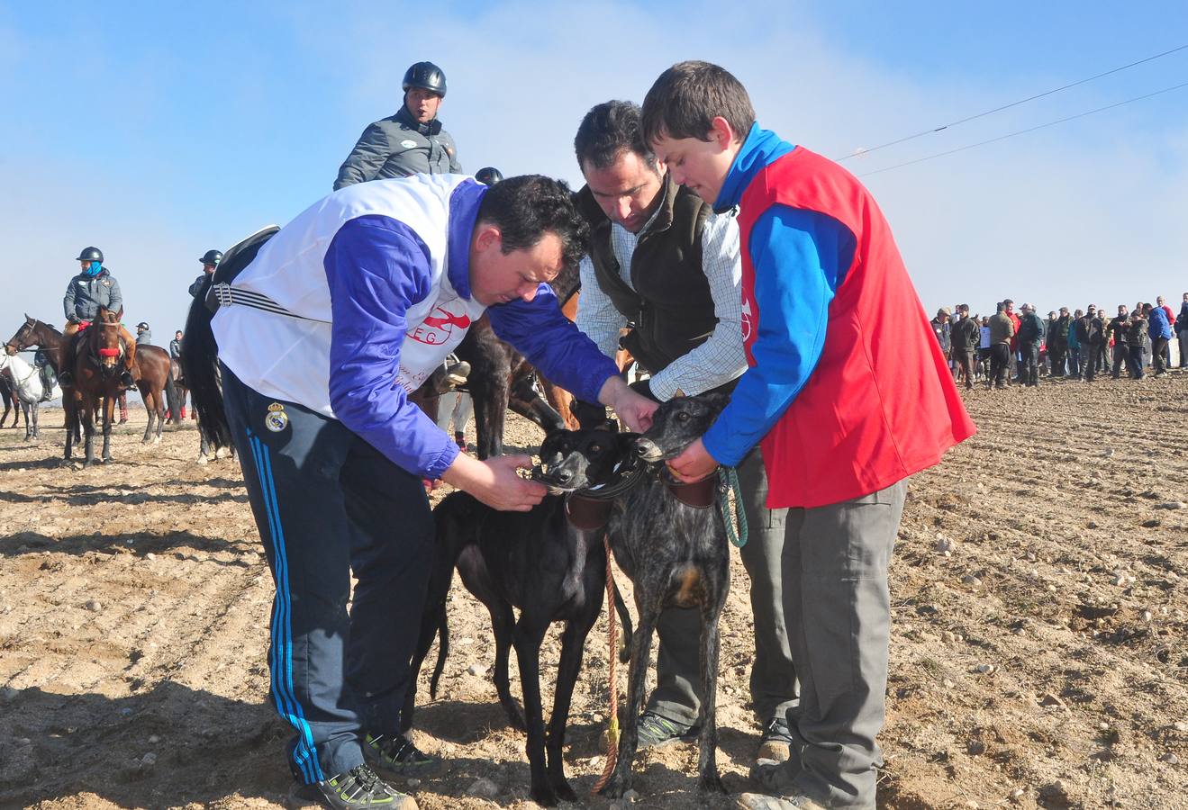 Primera jornada del Campeonato Nacional de Galgos