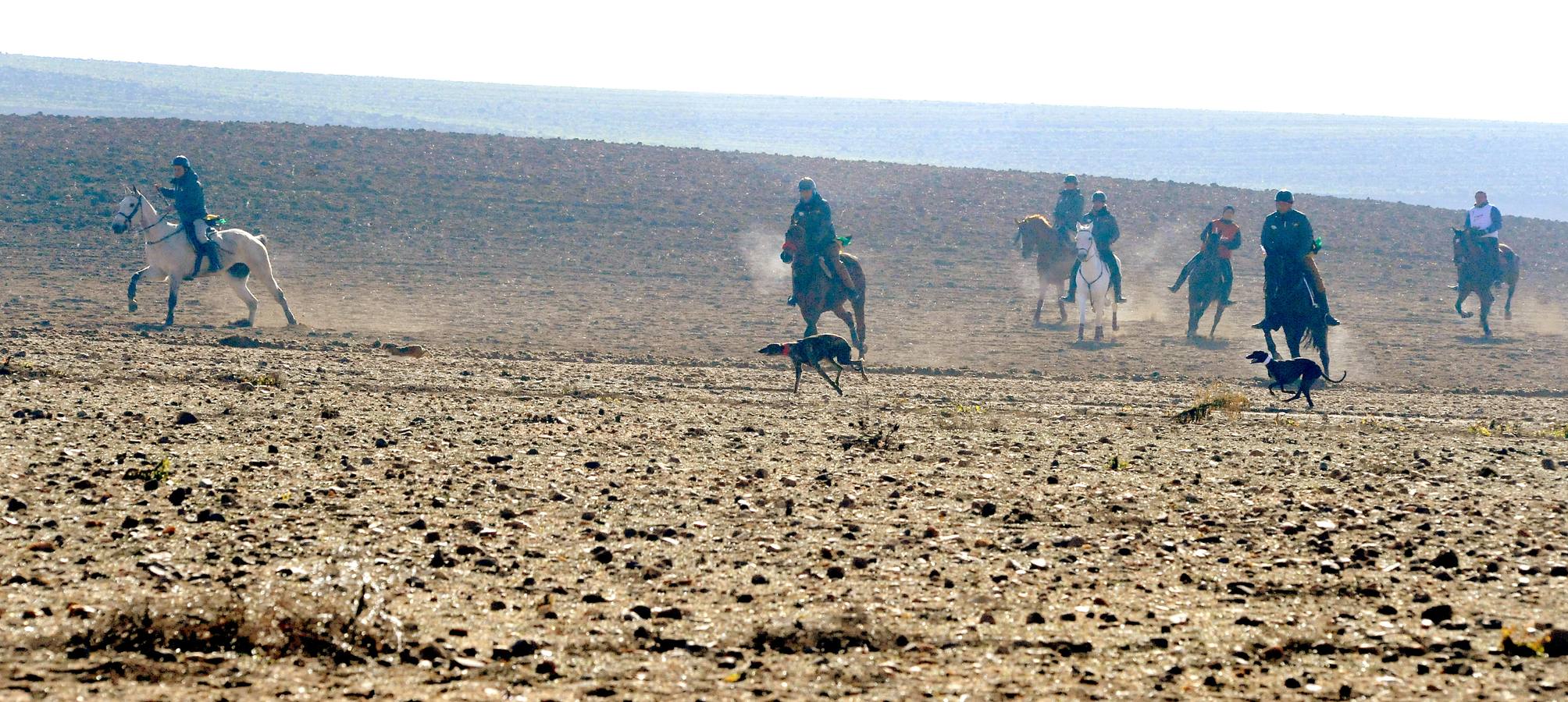 Primera jornada del Campeonato Nacional de Galgos