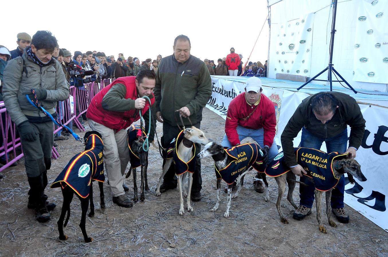 Primera jornada del Campeonato Nacional de Galgos