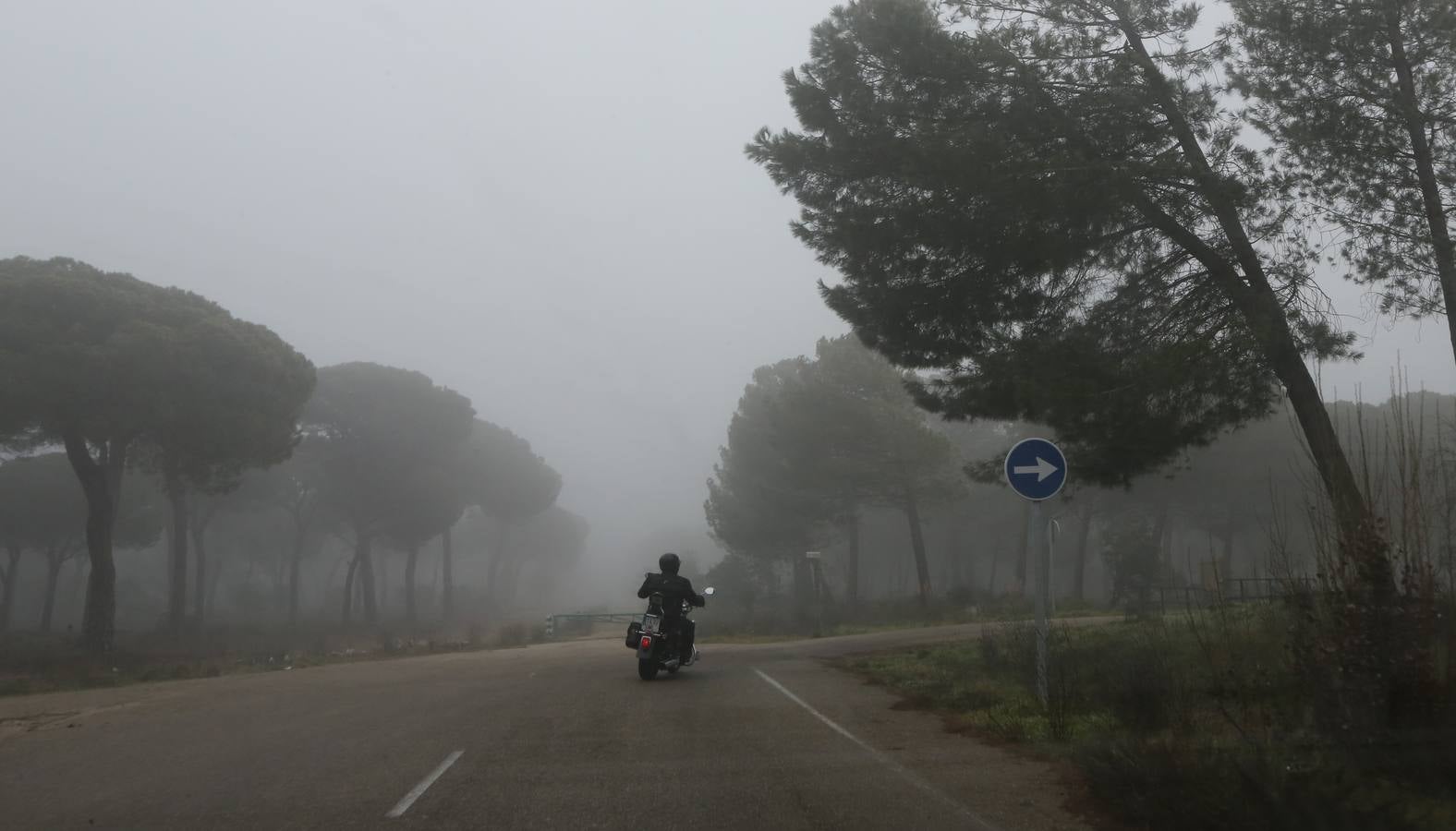 Ambiente motero en Valladolid sin Pingüinos