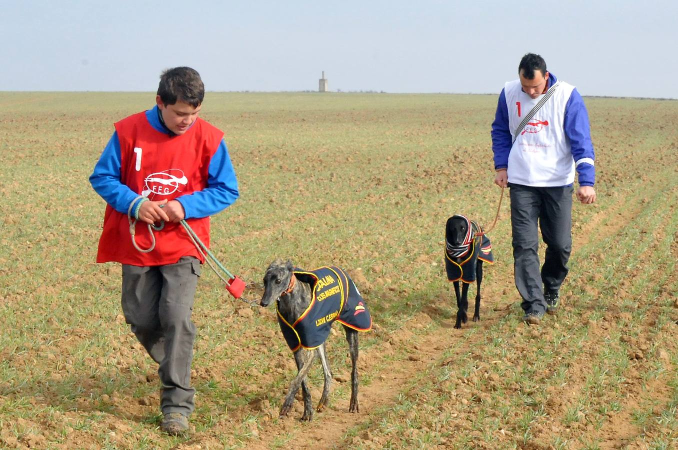 Segunda jornada del Campeonato Nacional de Galgos