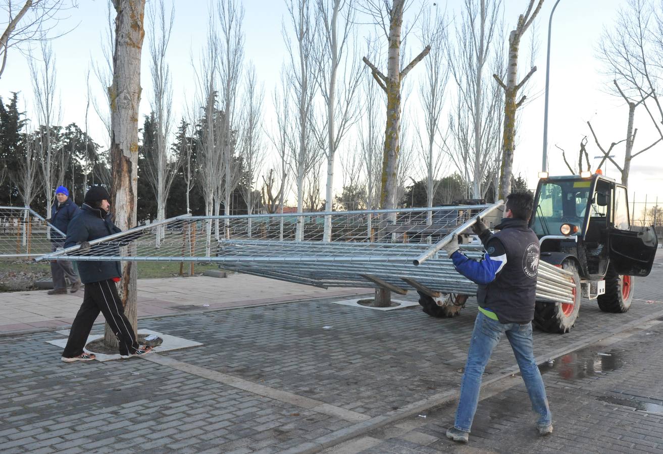 Trabajos de limpieza del pinar de Tordesillas tras el paso de Motauros