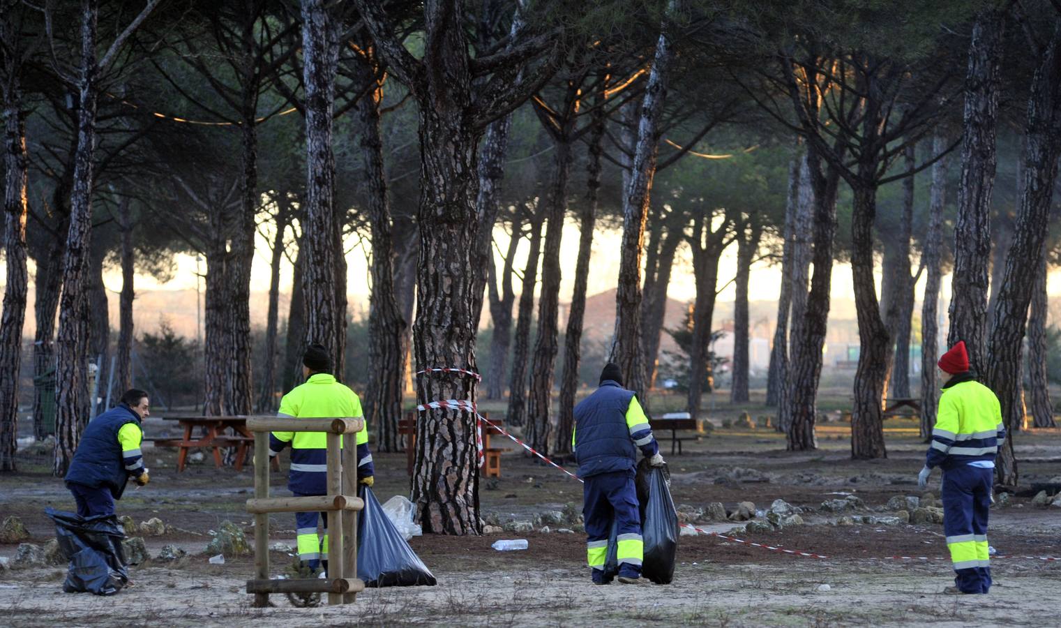 Trabajos de limpieza del pinar de Tordesillas tras el paso de Motauros