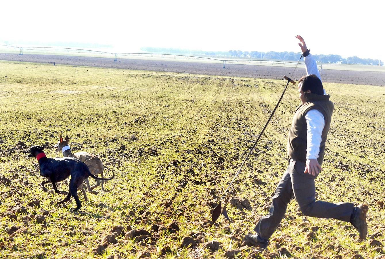 Final del Campeonato Nacional de Galgos en Campo 2015