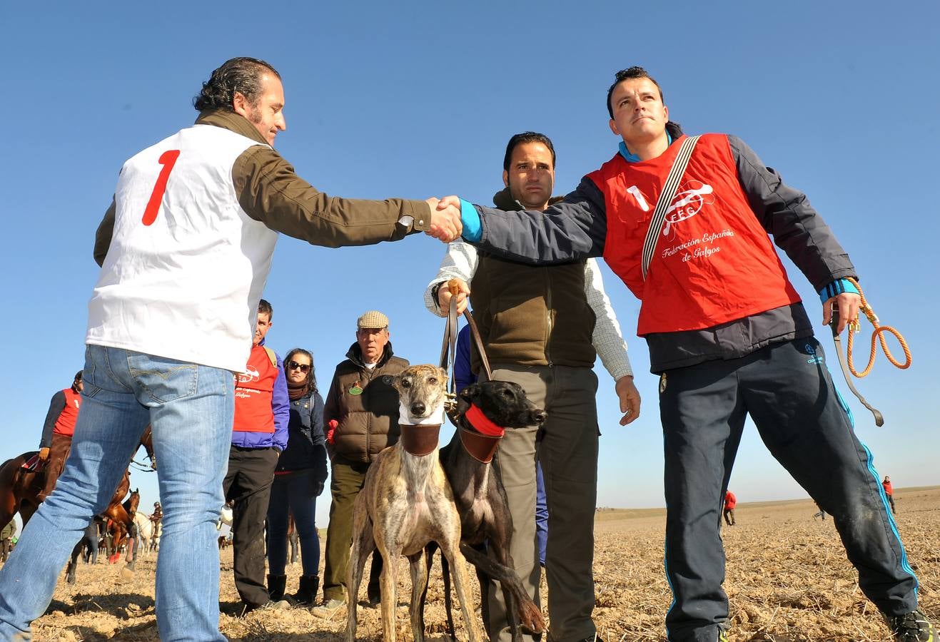 Final del Campeonato Nacional de Galgos en Campo 2015