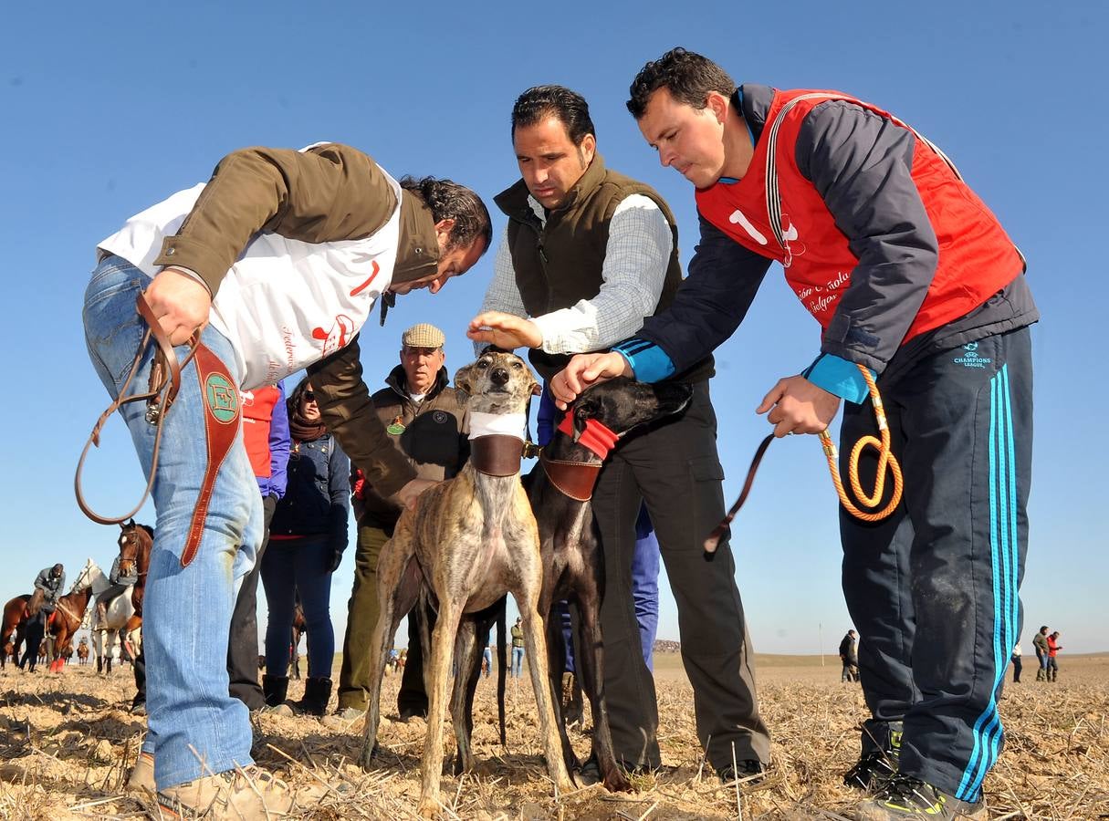 Final del Campeonato Nacional de Galgos en Campo 2015