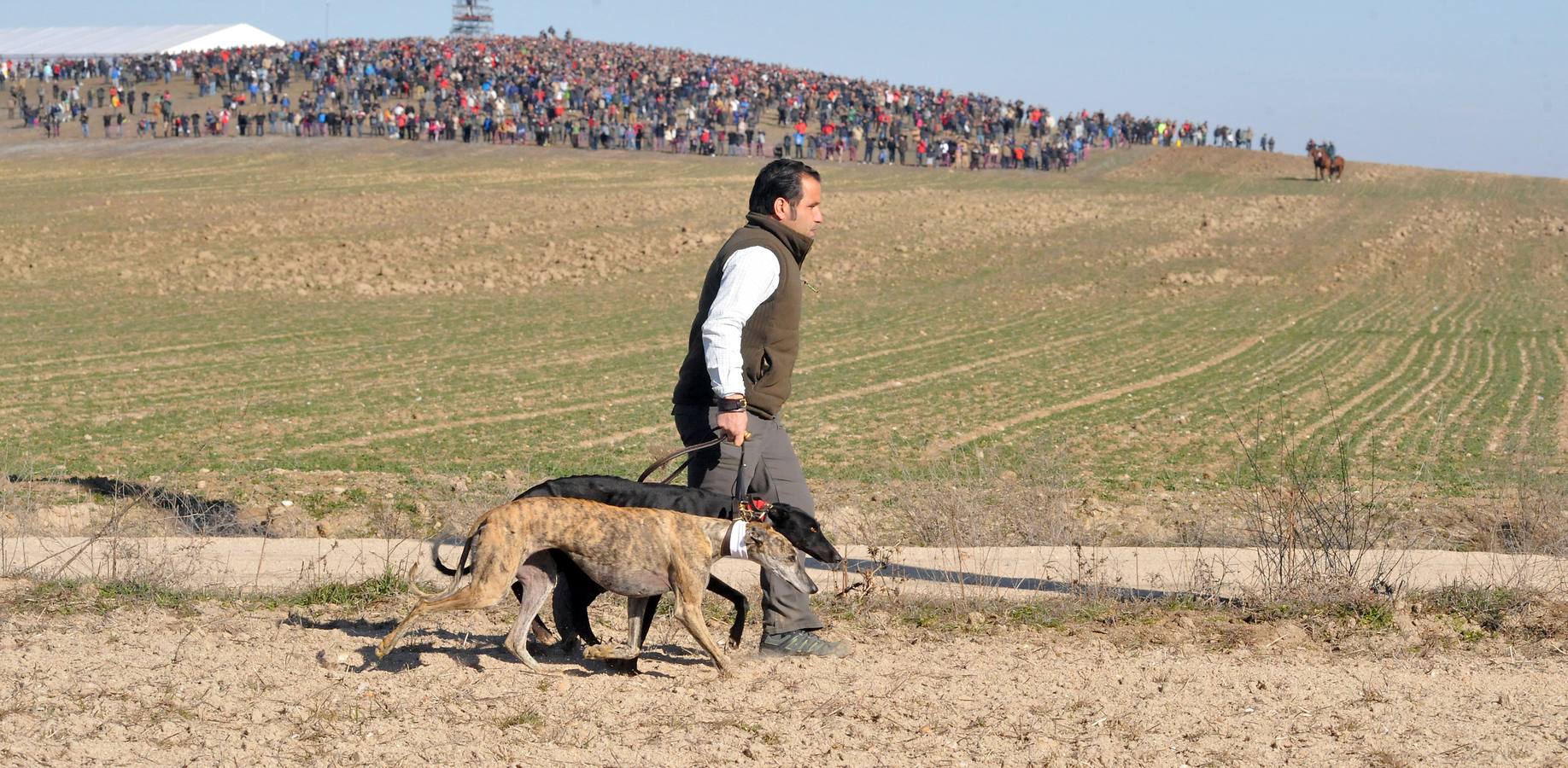 Final del Campeonato Nacional de Galgos en Campo 2015