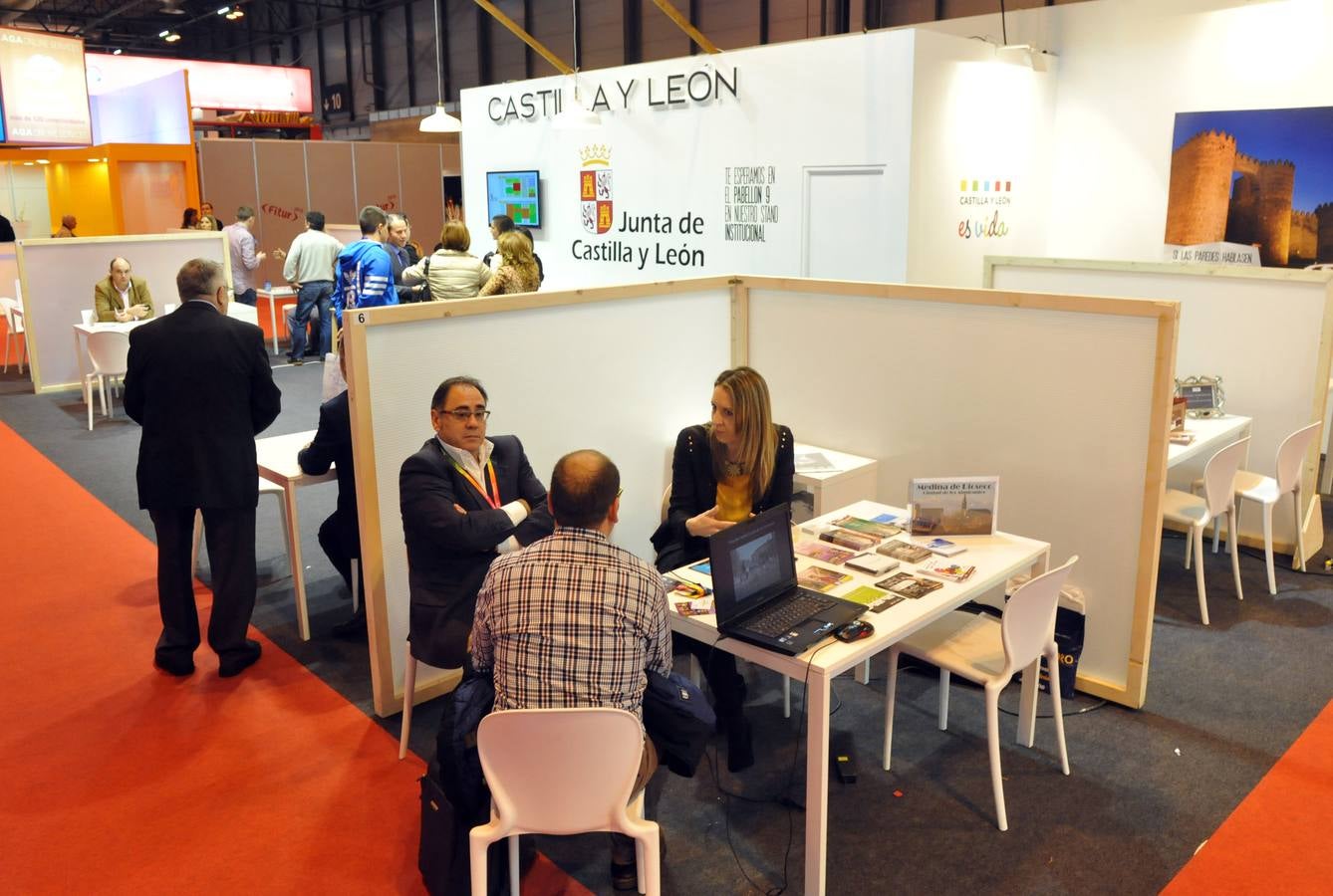 Stand de Castilla y León en Fitur 2015