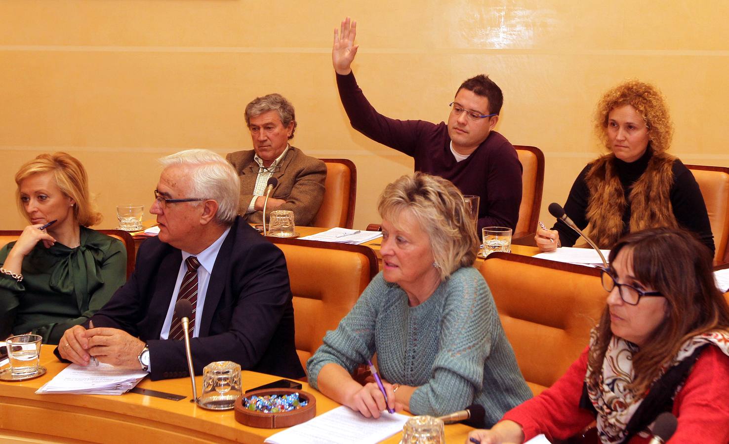 Pleno en el Ayuntamiento de Segovia