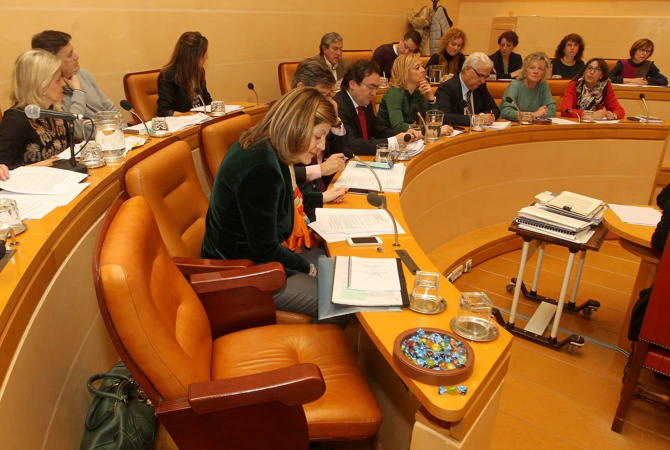 Pleno en el Ayuntamiento de Segovia