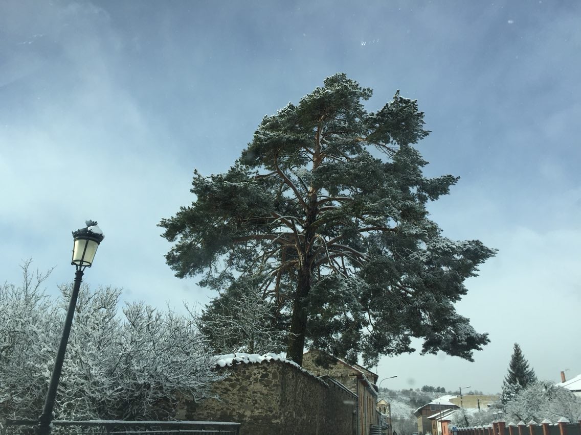 La nieve cubre la provincia de León