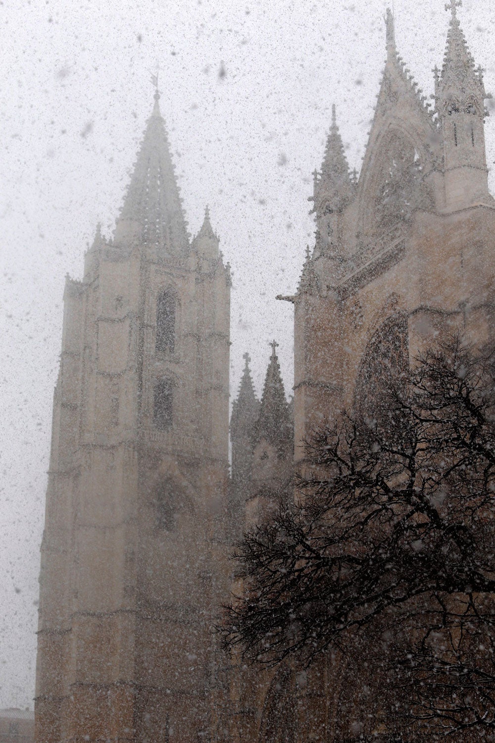 La nieve cubre la provincia de León