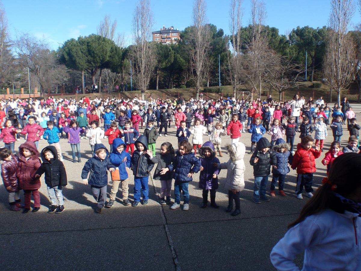 Día de la Paz en Palencia (1/2)