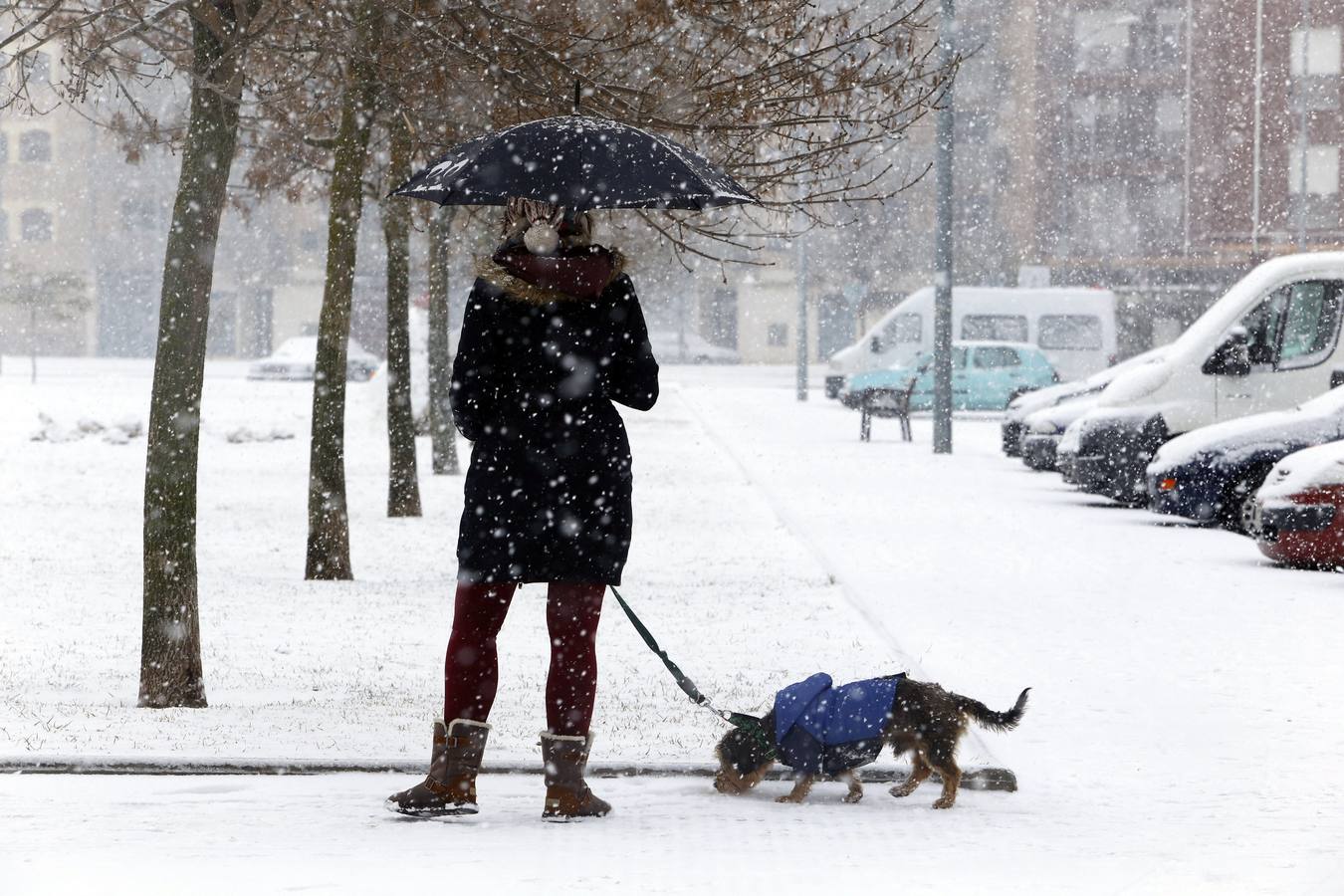 Nieve en la capital leonesa.