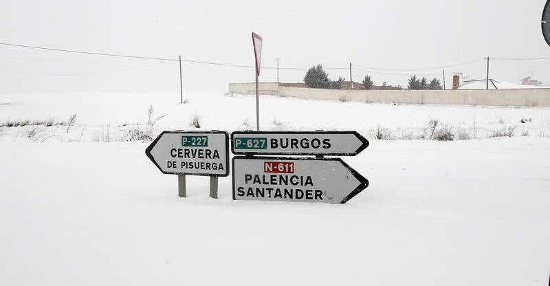 El temporal de nieve en el norte de Palencia