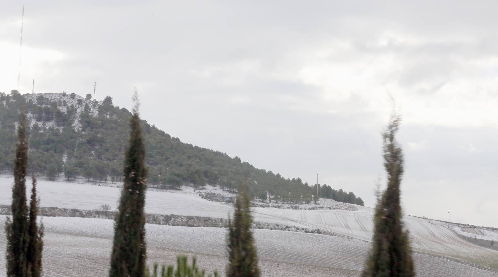 Nieve en el término de La Cistérniga.