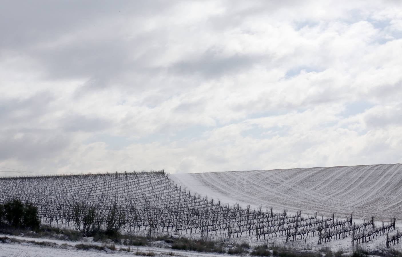 Nieve en el término de Tudela de Duero.