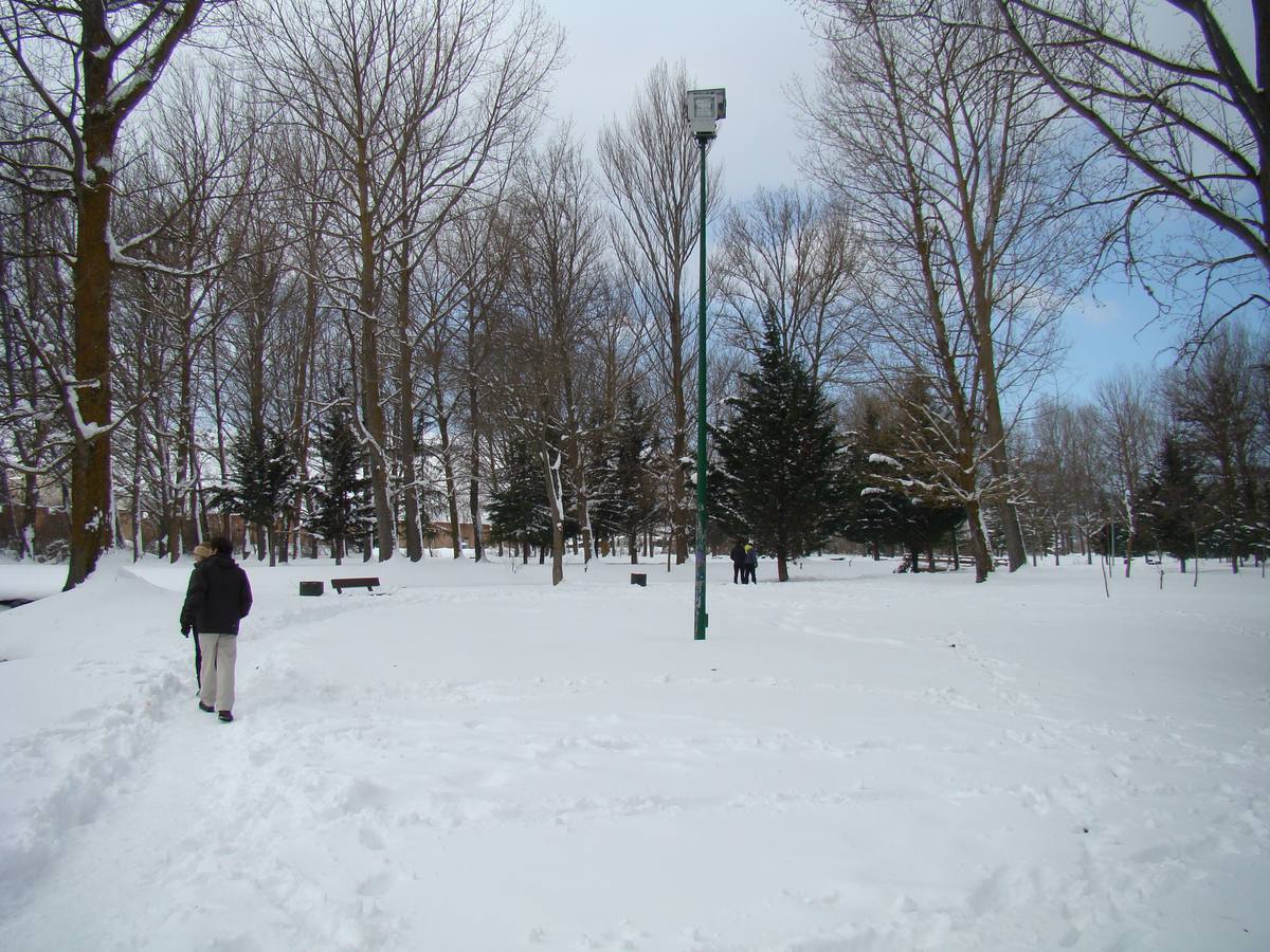 Jornada de nieve en Aguilar de Campoo (Palencia)