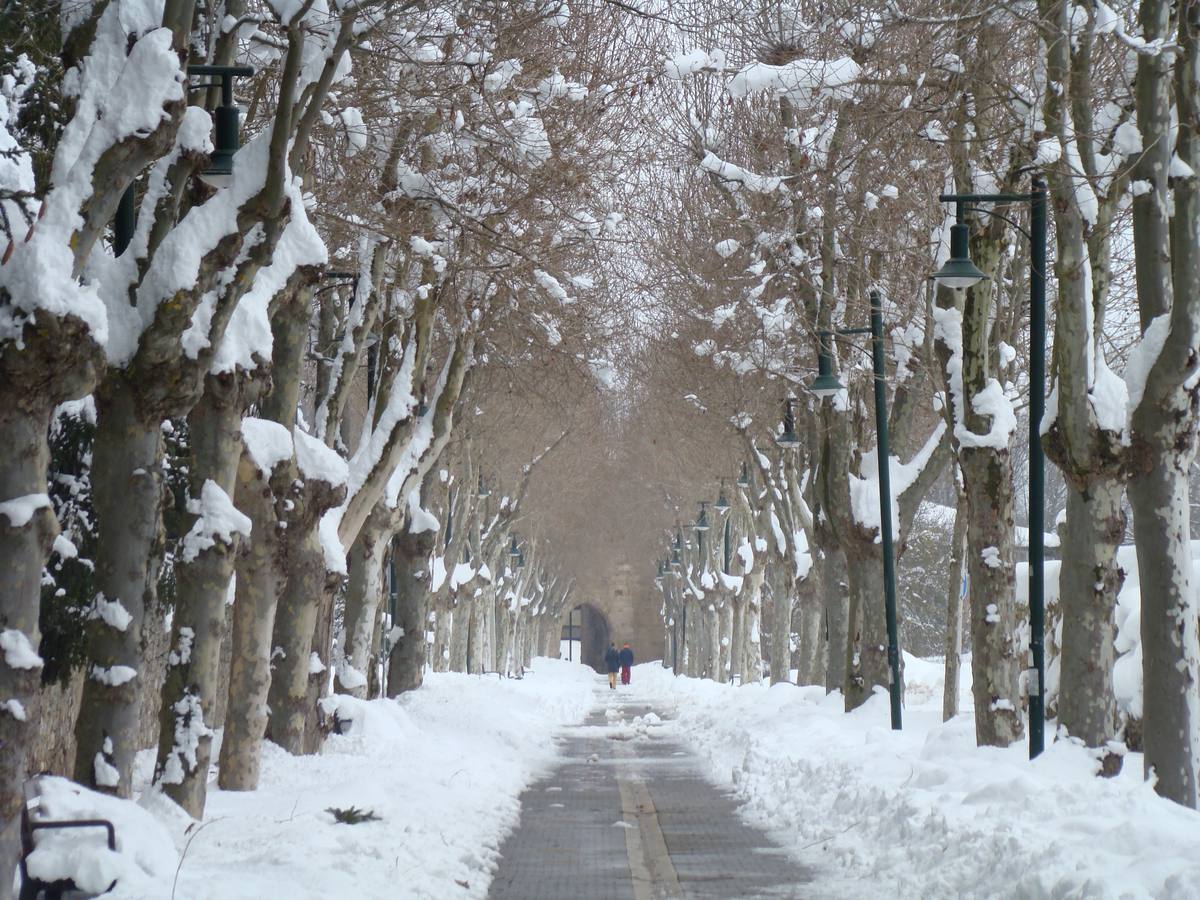 Jornada de nieve en Aguilar de Campoo (Palencia)