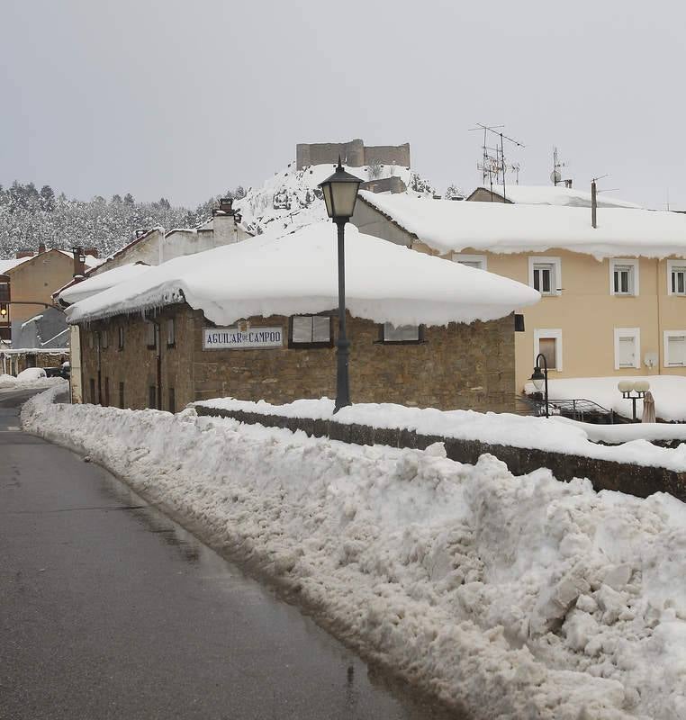 Reabierta la A-67 a todo tipo de vehículos