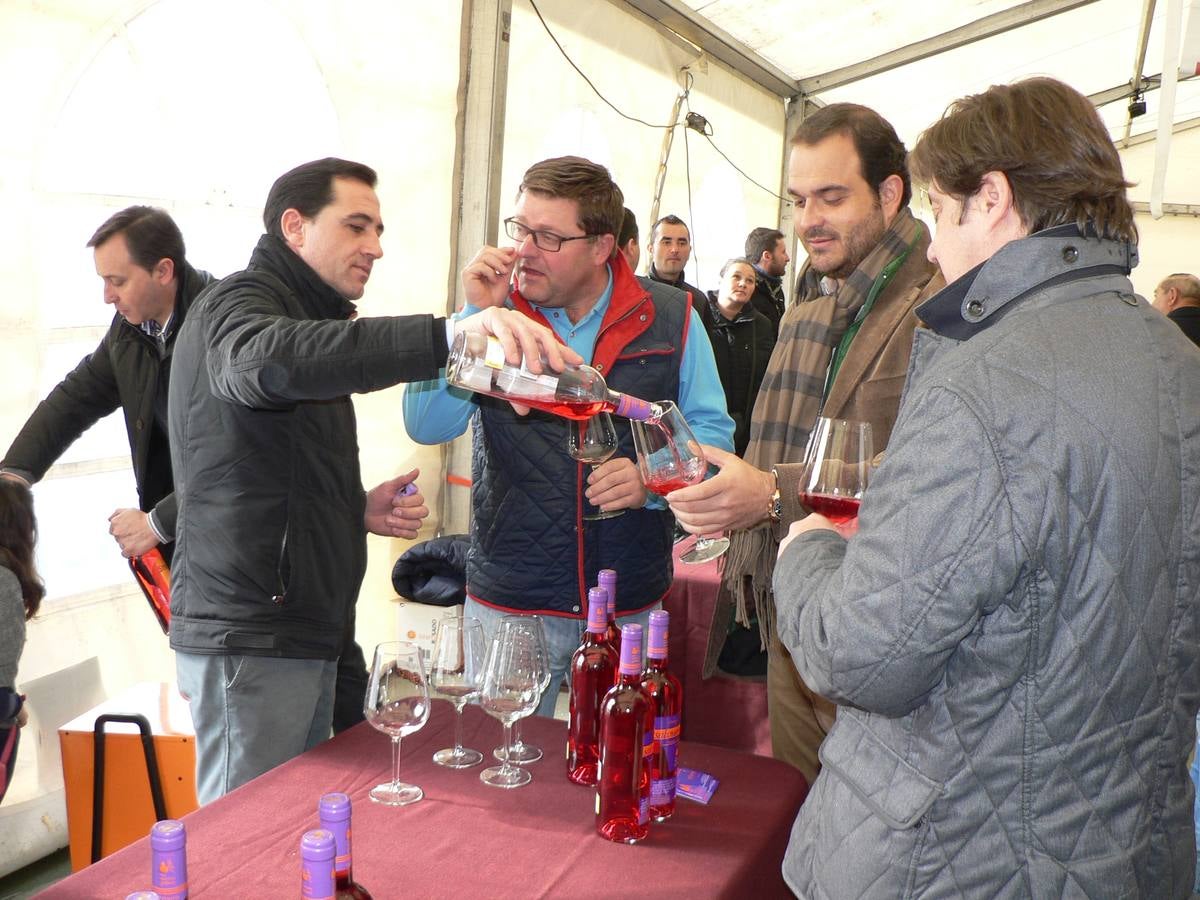 Fiesta del Primer Vino en Mucientes