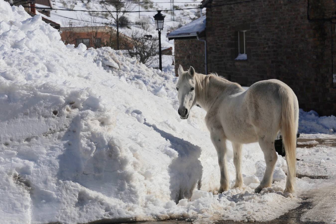Localidad palentina de Salcedillo.