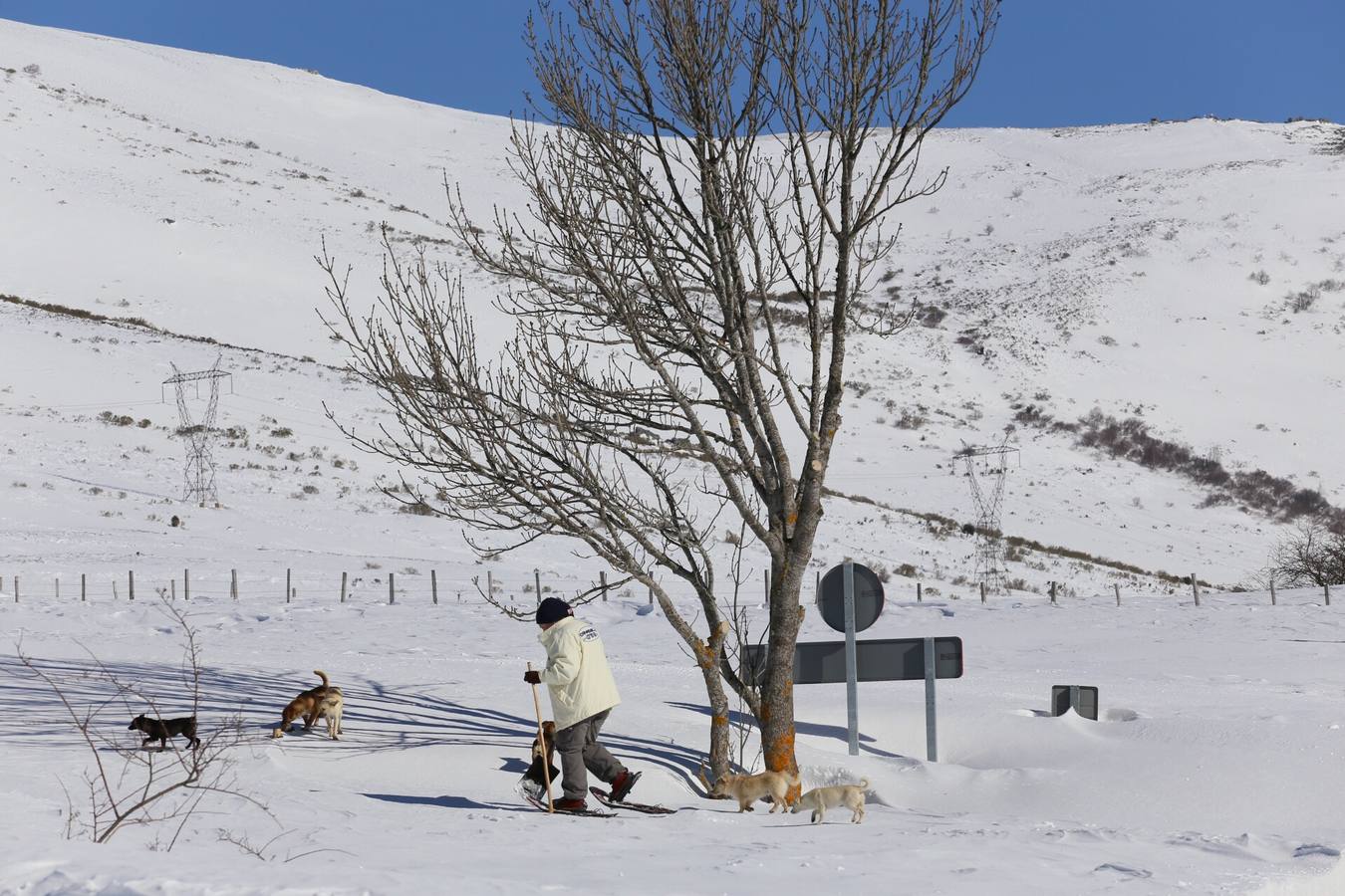 Localidad palentina de Salcedillo.