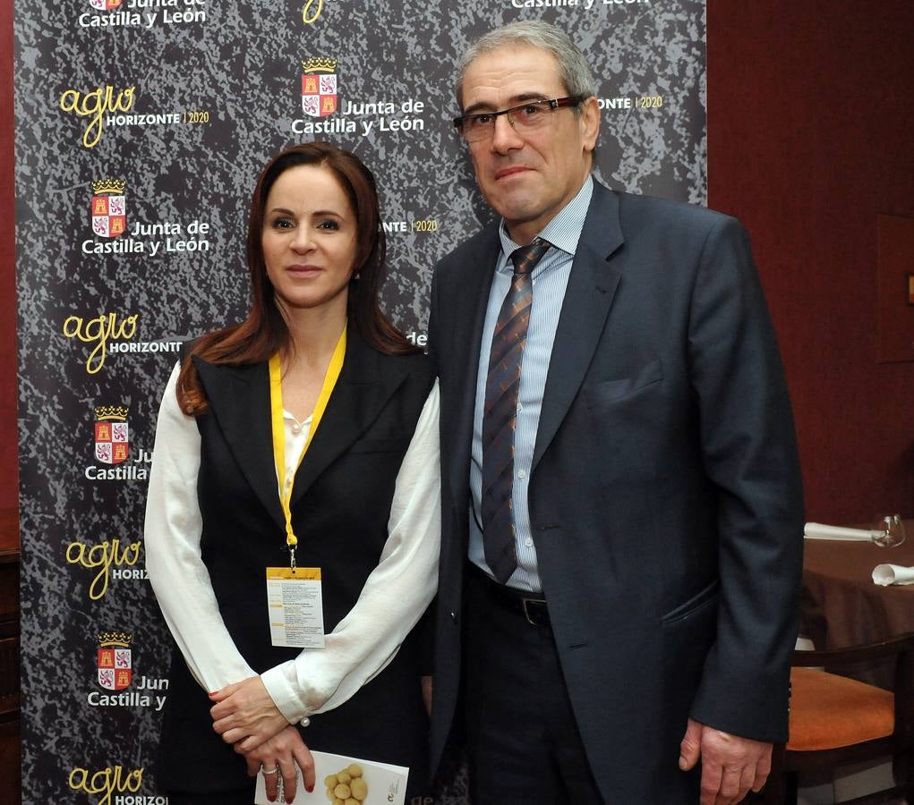 Jornada dedicada a la patata, la fruta y la hortaliza en el marco de Agrohorizonte 2020